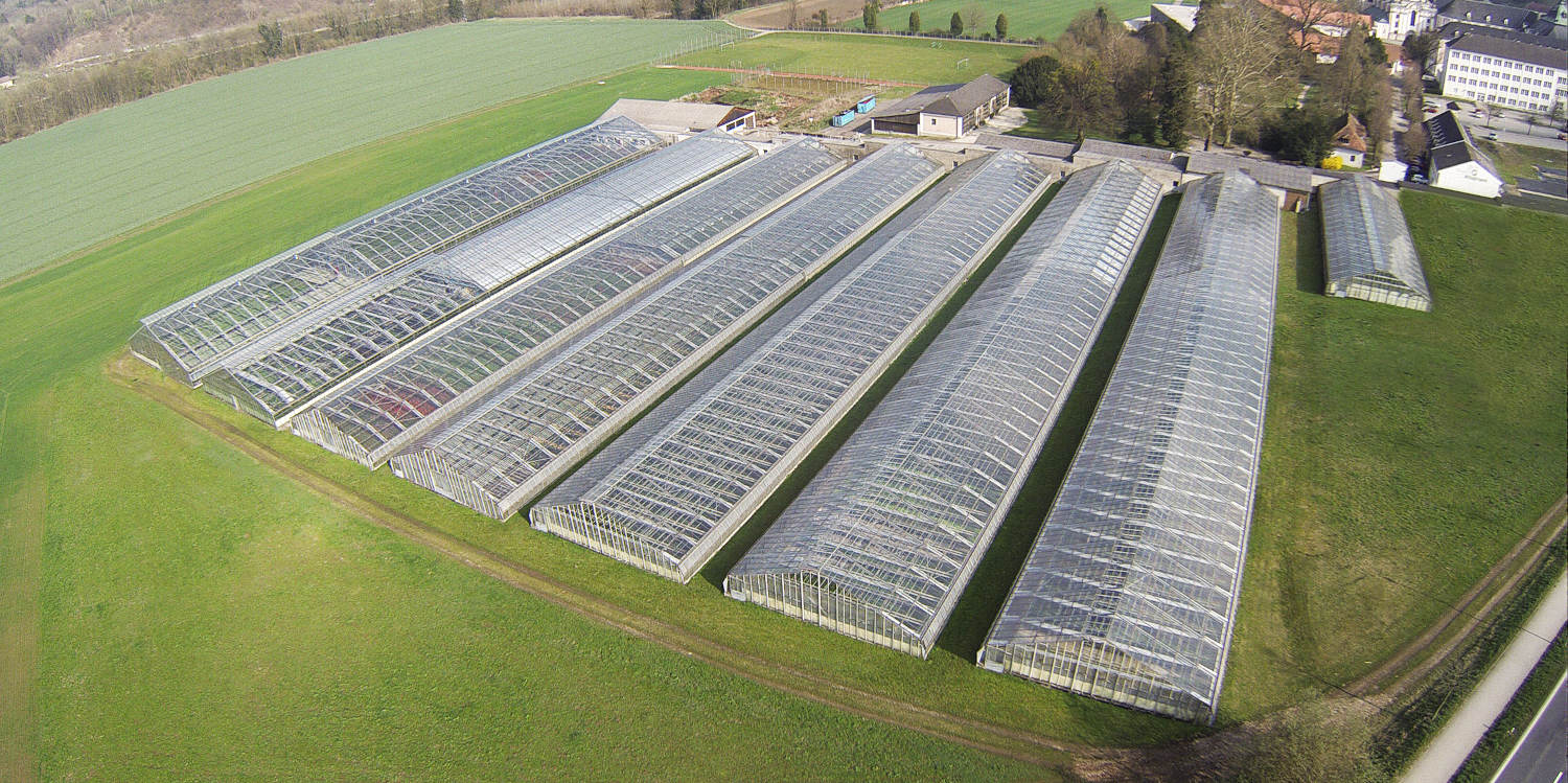 Eferdinger Gemüseregion